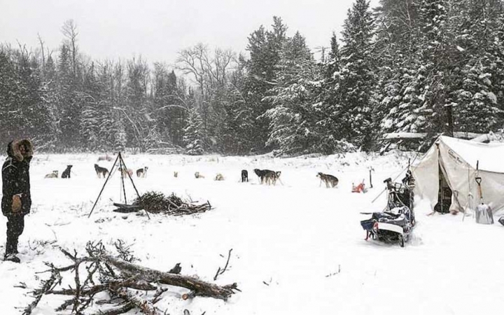 A winter campsite rests along a row of trees. Pictured are a line of several sled dogs, a canvas tent, a campfire site and a sled. 